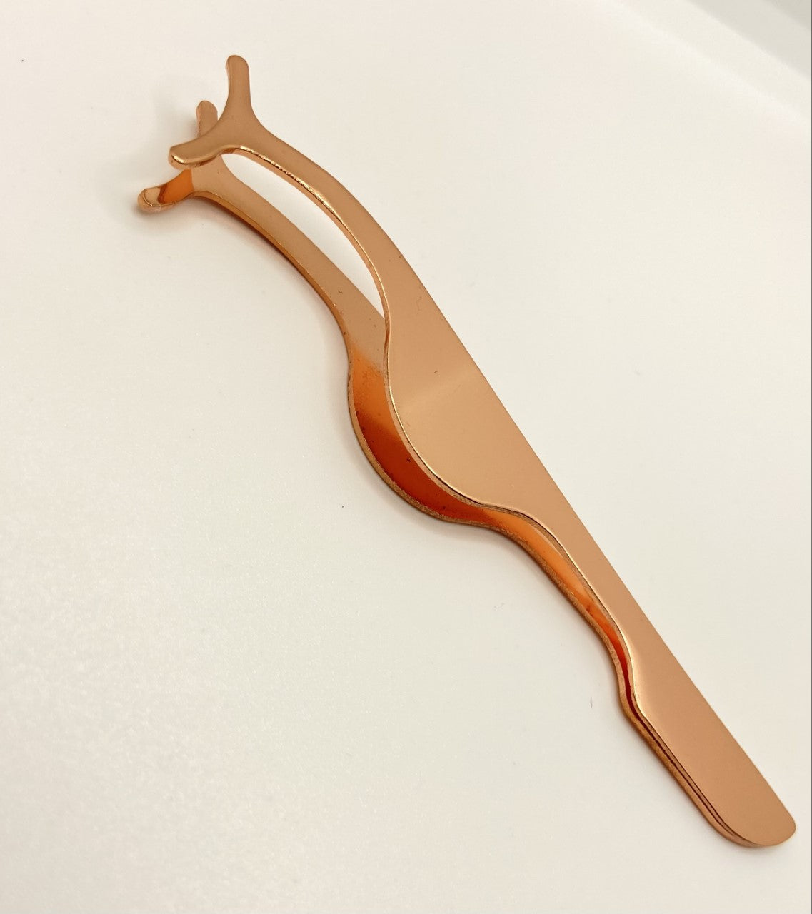 Lash Applicator